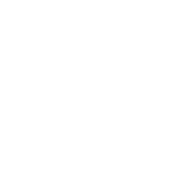 AI generated vue
